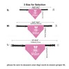HDGDT Big Sister Dog Bandana Collar, Pregnancy Announcement Dog Bandana,