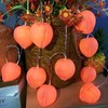 Peach String Lights,Peach Decor Night Light Battery Powered Pink Peach