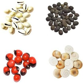 Kodhi Kawdi Kmal Katta Gomti Gaumati Chakraa for Laxmi Pooja/puja Navratri Diwali Deepawali Pooja Item Pack of 4 (11Pcs)