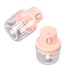 Mini Garlic Chopper Space Saving Small Size Clean Easily Simple
