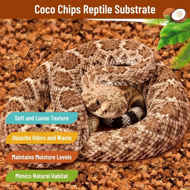 Riare 6 Pack Natural Coconut Chip Substrate for Reptiles- Compressed