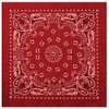 Red With Black Print Trainmen Paisley Bandana