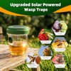4 Pack Wasp Trap Outdoor Hanging
