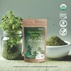MY LAND My Land Organic Greek Oregano from Mount Olympus,
