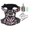 Petmolico No Pull Dog Harness Set with Leash Attachment Easy