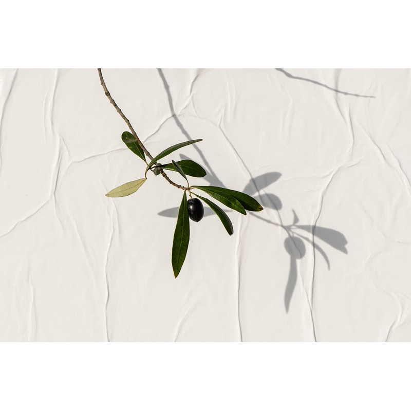 KORRES Olive Nourishing Conditioner