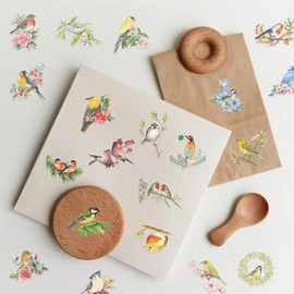 50PCS Flower and Bird Stickers PET Transparent Stickers Nature Watercolor Birds Decals Waterproof Decorative Decal for Scrapbook DIY Crafts Album Bullet Journal Planner Phone Cases Laptops (Bird)