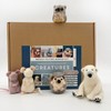 Bergin & Bath Needle Felting Bumper Kit - Creatures: Arts
