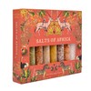 eat.art Salts of Africa Blend Collection | Sampler Spice Gift