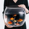 Geelin 5 Gallon Plastic Fish Tank Large Bowl Shatterproof with
