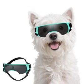 PETLESO Small Dog Goggles, UV-Proof Sunglasses for Outdoor Driving Cycling Riding Hiking, Windproof Dustproof Snowproof Eye Protection, Pet Eye Wear with Adjustable Strap, Bule