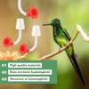 12 Packs Hummingbird Feeder Tube with Stopper Handheld Bird Feeder