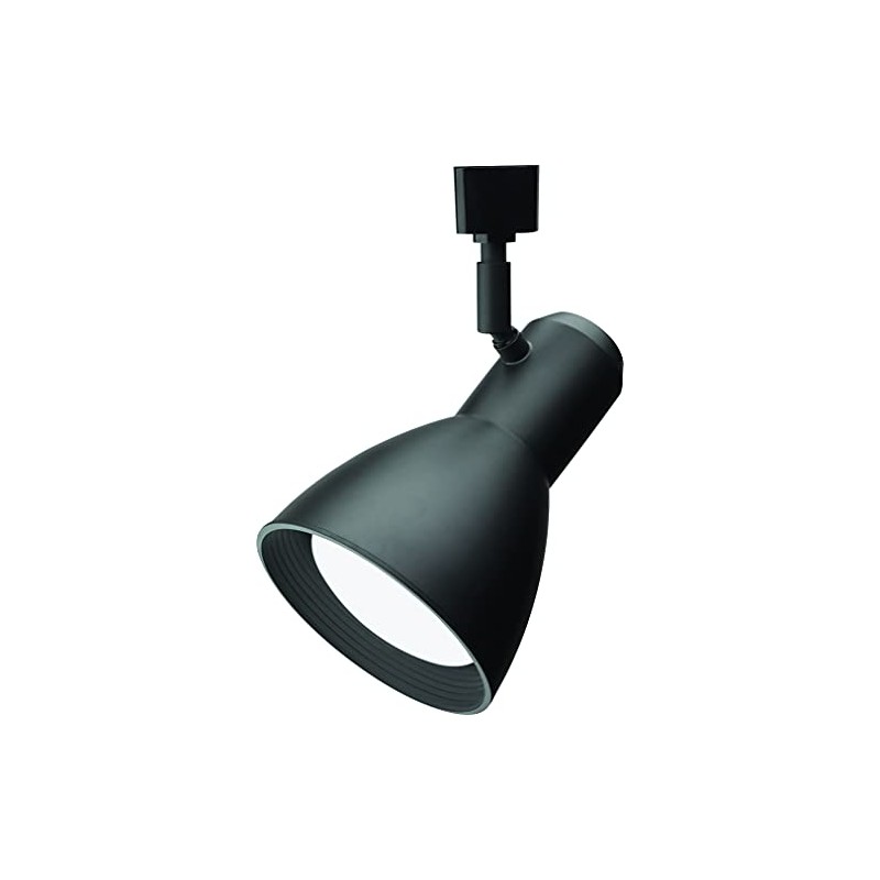 Lithonia Lighting LTHNSTBF BR30 DBL M2 Baffle Head Track Lighting,