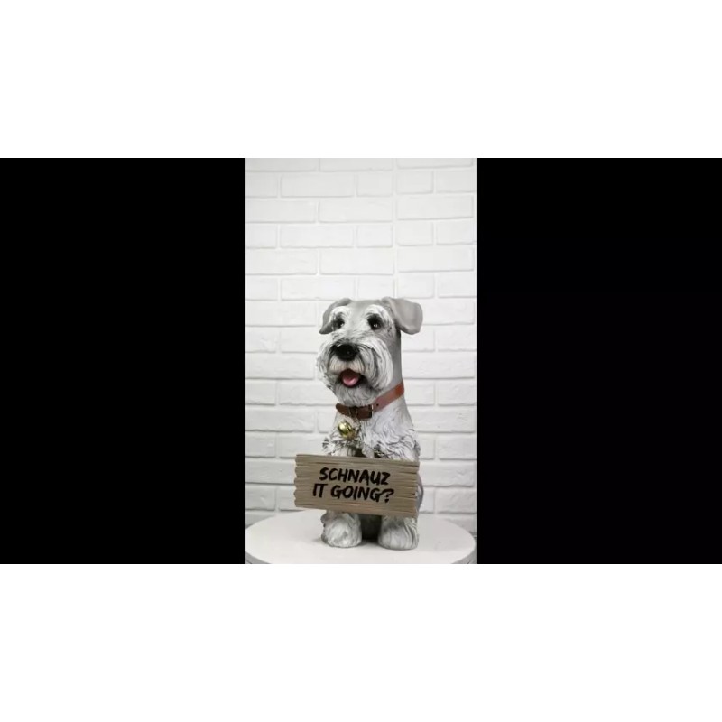 Adorable Grey Schnauzer Dog Sitting With Jingle Collar Greetings Sign