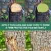 2026 Tree Wound Sealer,Tree Wound Pruning Sealer,Pruning Sealer,Tree Wound Dressing