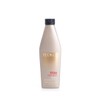 Redken Frizz Dismiss Shampoo, Pack of 1 (1 x 300