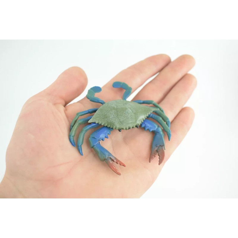 Collectible Wildlife Gifts Blue Crab, Hand Painted Realistic Rubber Crab,