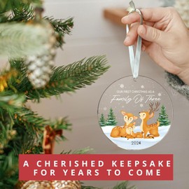 Our First Christmas AS A Family of Three，Family Christmas Ornaments 2024，Family of Three Christmas Ornament - Newborn Baby Boy, Girl Christmas Ornament.