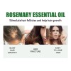 Aceite Esencial De Romero Para El Crecimiento Del Cabello