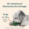 WOOF Pupsicle - Long-Lasting Interactive Dog Toy to Keep Your