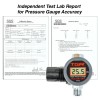 Tool Guy Republic HVLP Spray Gun Air Regulator with Digital