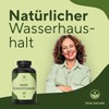 TRUE NATURE Field Horsetail - 360 Capsules - 500 mg Horsetail Extract - 10:1 High Dose - 1-Year Supply - Equisetum arvense - German Production - Vegan - True Nature