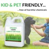 Organic Liquid Lawn & Turf Food - Quickly Rejuvenates Lawn