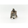 DecoTrend GmbH Decorative Figurine Little Cat Lurking 11.5 x 7