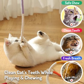 LEKEWPET Cat Chew Toys 3PCS Sisal Ropes, Kitten Toys for Indoor Cats Teeth Cleaning Toys for Kitten, Bite Resistant Catnip Toys Interactive Cat Nip Kitty Kicker Toys for All Breeds