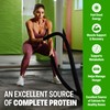 Orgain 38g High Protein Shake, Dairy Isolate Protein Milk, Chocolate