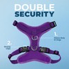 Best Pet Supplies Voyager Step-in Lock Dog Harness and Reflective