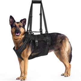 BENCMATE Dog Harness, Dog Lift Harness, Multipurpose Designed Harness with Reflective Strips, Dog Rehabilitation Lifts Vest for Old, Disabled, Joint Injuries, Arthritis, Paralysis Dogs(XXLarge)