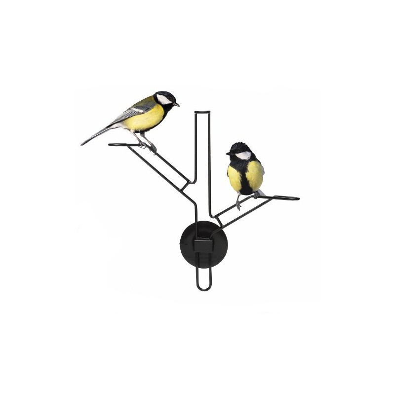 Born In Sweden 3 piece Bird Feeder and accessory kit
