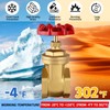 Boltigen 1’’ NPT Brass Gate Valve, 200 WOG Manual Rotary
