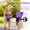 rabbitgoo Dog Harness, No-Pull Pet Harness with 2 Leash Clips,