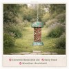 Cath Kidston Hanging Peanut Bird Feeder with Chain, Weather-Resistant Iron