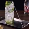 Wagensteiger Deismuddler Silver Highball Stick / 바겐슈타이거 다이스머들러 실버 하이볼