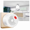 WiFi Gas Alarm Plug in Combustible Gas Detector for Tuya