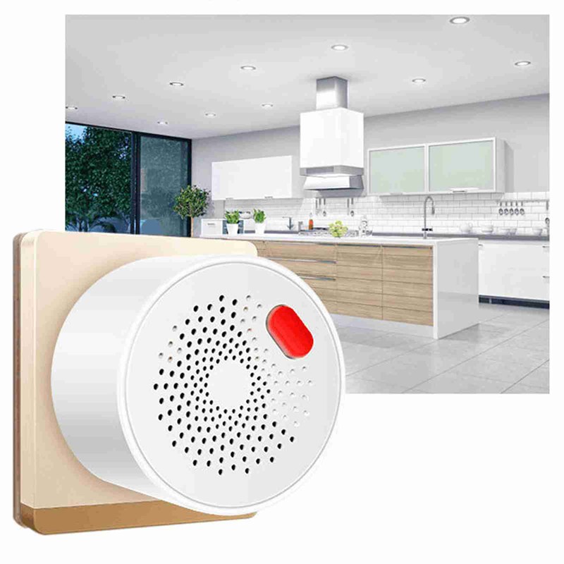 WiFi Gas Alarm Plug in Combustible Gas Detector for Tuya