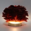 Feather Table Lamp Stepless Dimming USB Charging Touch Control LED