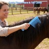 Kit De Aseo Para Caballos 13 Piezas Con Bolsa Organizadora