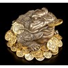Money Frog Feng Shui Figurine - Money Frog - Money