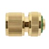 Brass Coupling Box with Hose Connection 13 (1/2 Inch) mm,