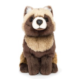 [COLORATA] Carolata Hondo Raccoon Dog Plush Toy (Real Animal Baby/Gentle Texture), Realistic Raccoon Dog, Animal, Baby Toy, Doll, Gift, Birthday (2 Meters Readed)