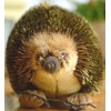 TAMMYFLYFLY Lifelike Echidna Plush Stuffed Animal Toy Echidna Animal Model