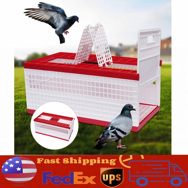 Unbranded Racing Pigeon Carrier Box Bird Training Basket With 2