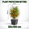 Plant Protection Netting for Fruit Trees & Garden Plants –