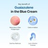 Midnight Blue Calming Cream 60 ml, For oily, acne prone and sensitive skin, rapidly calm and soothe sensitivity