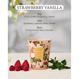 M&SENSE Strawberry Vanilla Scented Natural Soy Wax Candle, 14.1oz 60 Hours Long Lasting Slow Burning Candles for Home Decor, Aromatherapy Candle for Stress Relief