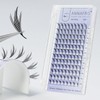 ANNAFRIS Eyelash Extensions, Artificial Eyelashes, Clusters, Volume Eyelashes, Premade Fan